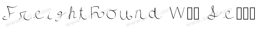 FreightRound W05 Se字体转换